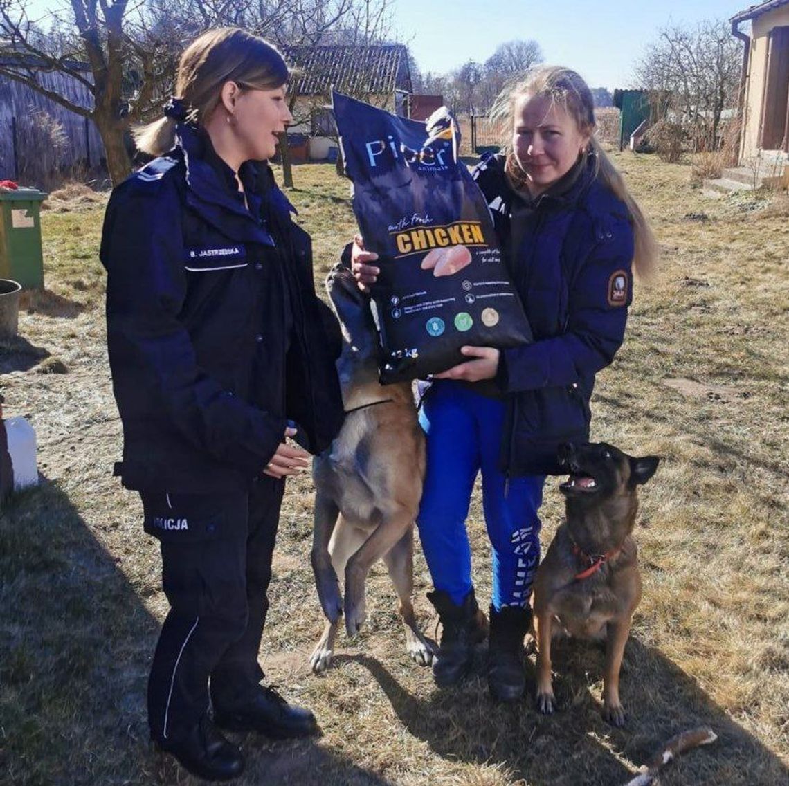 Policjantka uciekła przed wojną. Towarzyszą jej 2 służbowe psy