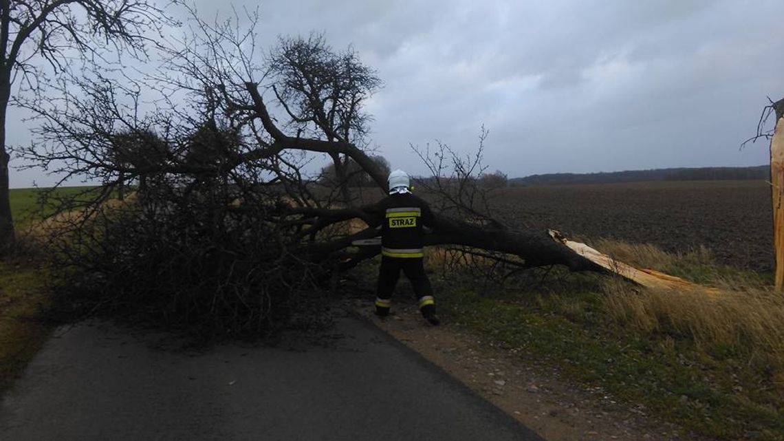 Potężna wichura nad Szczecinem. Jest bardzo niebezpiecznie.