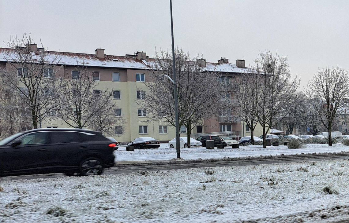 Szczecin w lodowej pułapce: Rekordowa liczba rannych i paraliż miasta