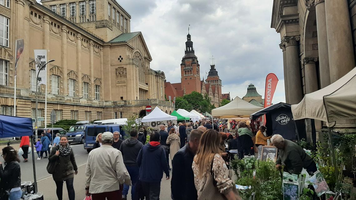 Tłumy na Wałach Chrobrego w Szczecinie