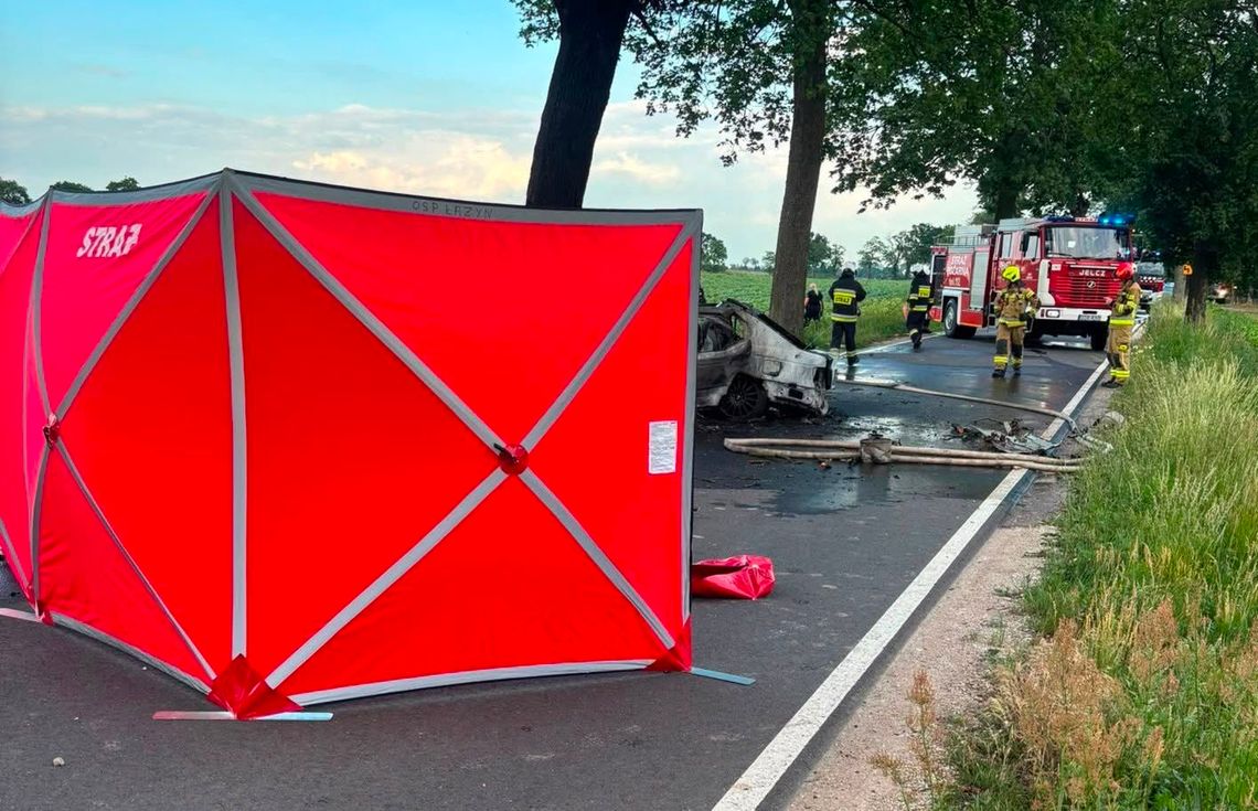 Tragiczny wypadek: Honda spłonęła po uderzeniu w drzewo, nie żyje kierowca Tragiczny wypadek: Honda spłonęła po uderzeniu w drzewo, nie żyje kierowca