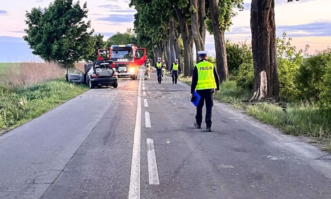 Tragiczny wypadek nastolatków. Zablokowali drogę, aby ustalić przyczynę