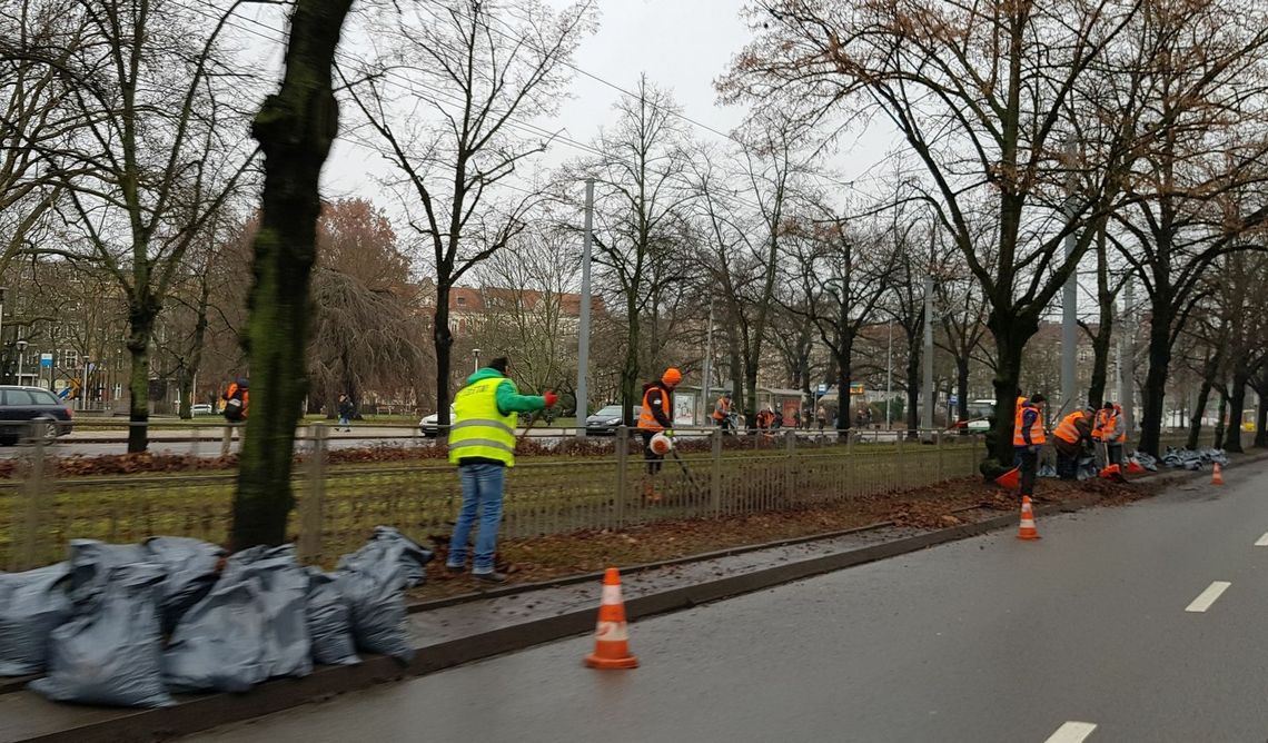 Utrudnienia w centrum. Zbierają liście i część pasa ruchu jest zajęta