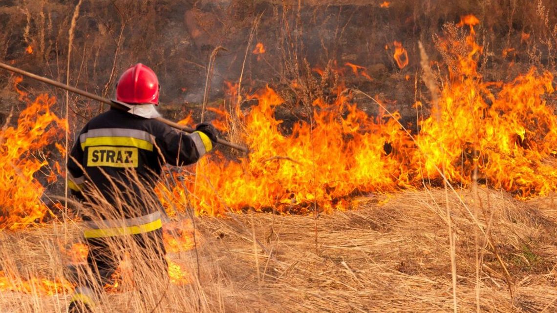 Megagrzywny za rozniecenie ognia. Lista rzeczy zakazanych